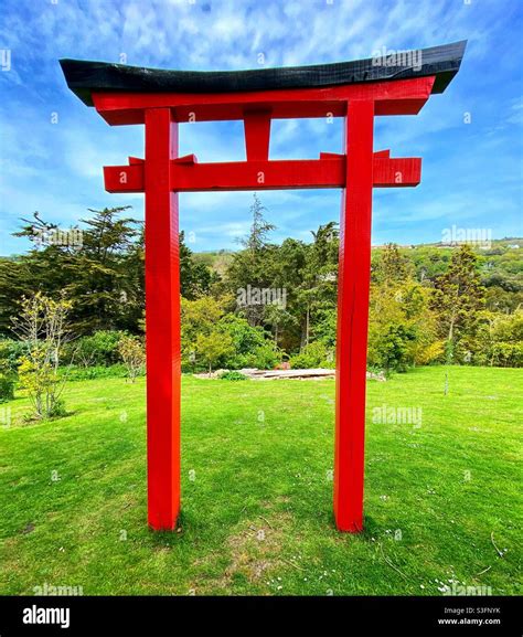 Ventnor botanic gardens Stock Photo - Alamy