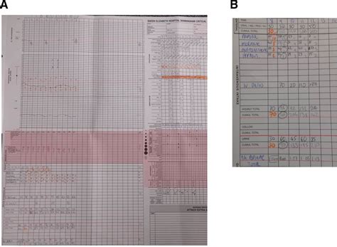 Benefits of electronic charts in intensive care and during a world health pandemic: advantages ...