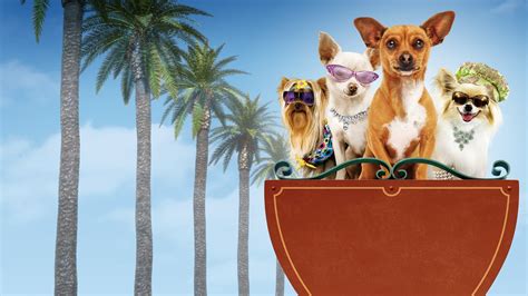 Beverly Hills Chihuahua - Cuevana