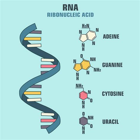 RNA | Podcast | Chemistry World