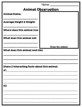 Animal Observation Worksheet, Zoo, Aquarium, Farm, Habitat, Field Trip Printable