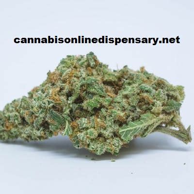 Headband Marijuana Strain | buy weed online