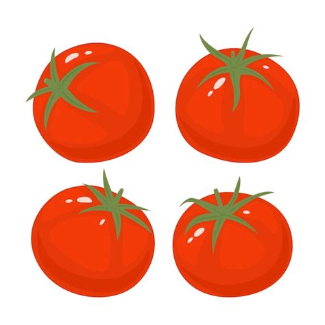 Tomato Vectors & Illustrations for Free Download | Freepik