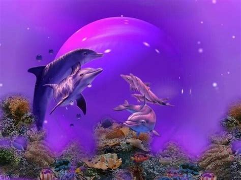 Purple | Dolphins | Pinterest