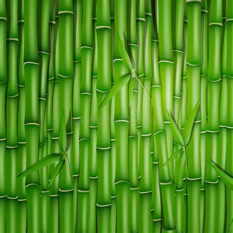 Bamboo Background stock illustration. Illustration of bamboo - 31149739