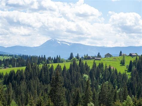 Premium Photo | Carpathian landscape with cloudy sky