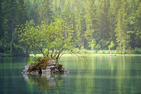 clear green pond water up | Green Algae | Pondering Paradise