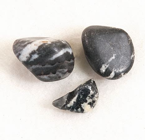 Zebra Stone | Crystal Life