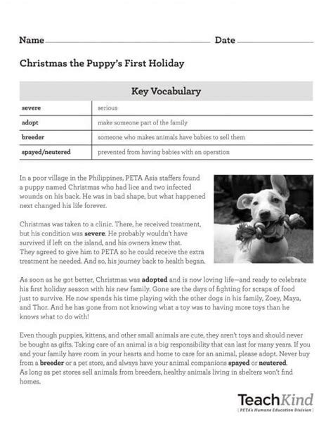 Rescue Stories Printables | PETA