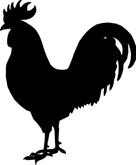 SVG > animal hen livestock barnyard - Free SVG Image & Icon. | SVG Silh
