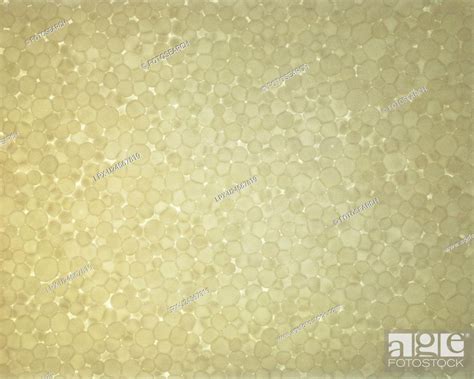 Styrene foam, Stock Photo, Picture And Royalty Free Image. Pic. LPX ...