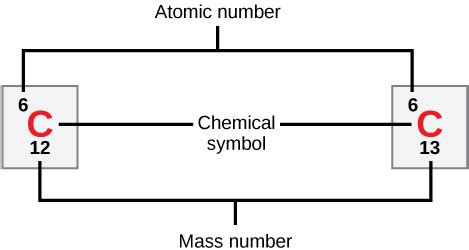 Atomic Structure | Boundless Anatomy and Physiology