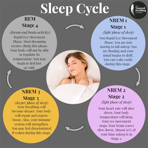 What is a Sleep Cycle? – The Natural Bedding Company