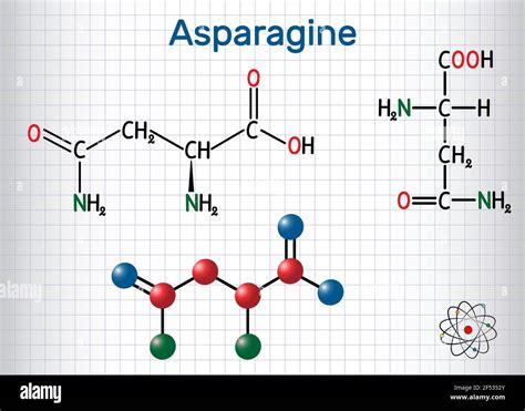 Asparagine (L-asparagine , Asn, N) amino acid molecule. It is is used in the biosynthesis of ...