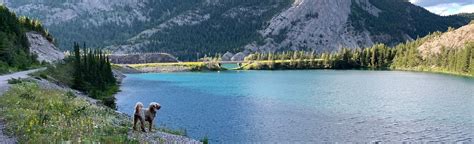 Emerald Lake Loop: 74 Reviews, Map - Alberta, Canada | AllTrails