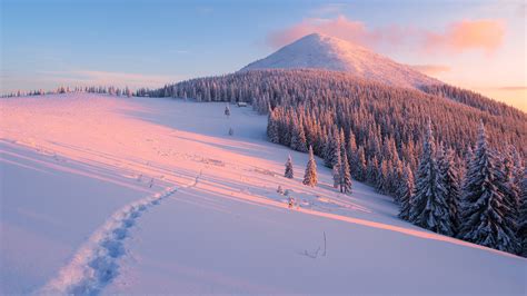 Download Mountain Forest Snow Nature Winter 4k Ultra HD Wallpaper