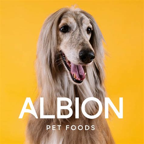 Albion Pet Foods: Web Design & Branding By Bluestone98