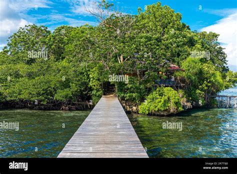 The bungalows in the Togian Islands resorts are often hidden on ...