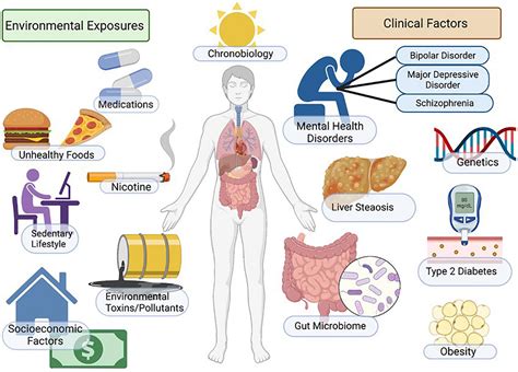 Frontiers | Non-alcoholic fatty liver disease (NAFLD) and mental ...