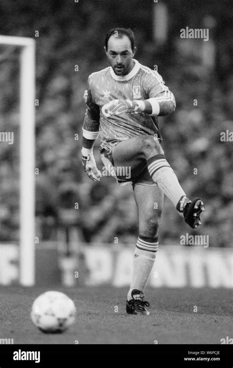 BRUCE GROBBELAAR, LIVERPOOL FC, 1990 Stock Photo - Alamy