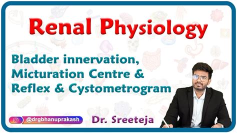 Bladder innervation, Micturation centre & Reflex and Cystometrogram : Renal physiology USMLE ...