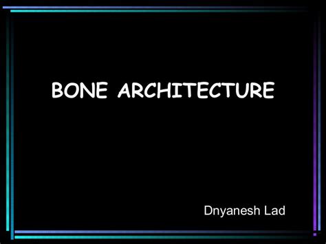 Bone architecture