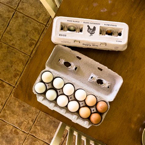 Free Range Eggs – Nourished Market