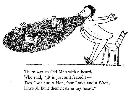 Edward Lear Limericks about Owls | Edward lear, Funny poems, Limerick poem