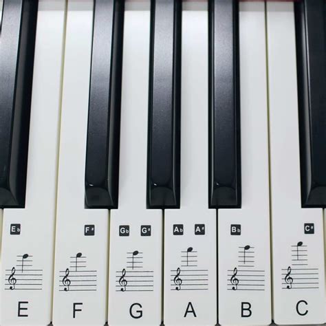 Piano & Keyboard Accessories - Amazon.co.uk