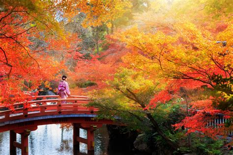 Kyoto, Giappone: informazioni per visitare la città - Lonely Planet