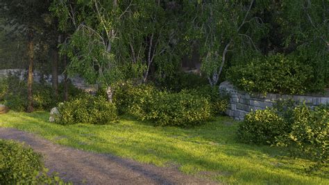 Forest shrubs | FlyingArchitecture