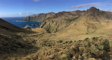 The Island — Macquarie Island Conservation Foundation