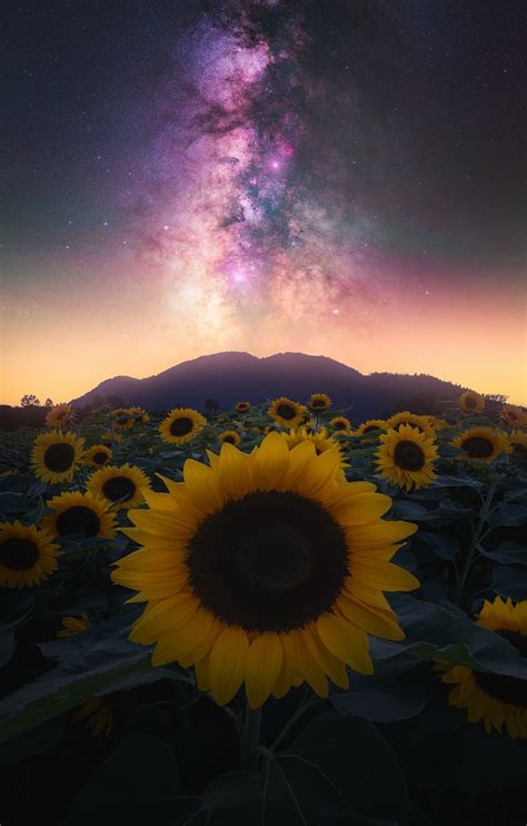 Dreamy Night Landscape Photos Inspired by Space, Stars, and Video Games