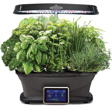 14 Indoor Smart Garden Ideas You Will Love - Smart Garden Guide