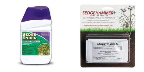 Sedge Ender vs Sedgehammer : Detailed Comparison Guide - Consort Design