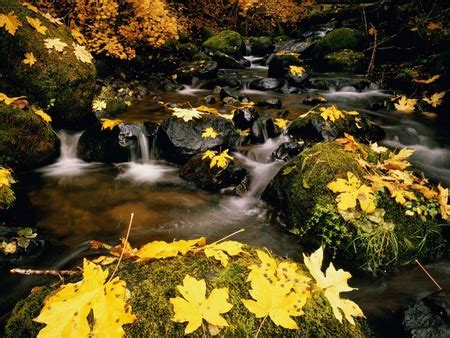 Changing Seasons - Rivers & Nature Background Wallpapers on Desktop Nexus (Image 287976)