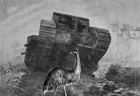 Emu vs Tank by iljaheld on DeviantArt