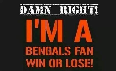 NFL Cincinnati Bengals meme wallpaper | BENGALS | Pinterest | Cincinnati Bengals, Cincinnati and NFL