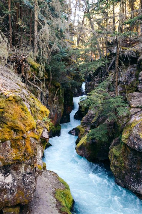 How to Hike to Avalanche Lake in Glacier National Park (+ The Trail of the Cedars and Avalanche ...