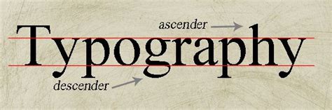 Ascender & Descender: Ascender refers to any part in a lowercase letter that extends above the x ...