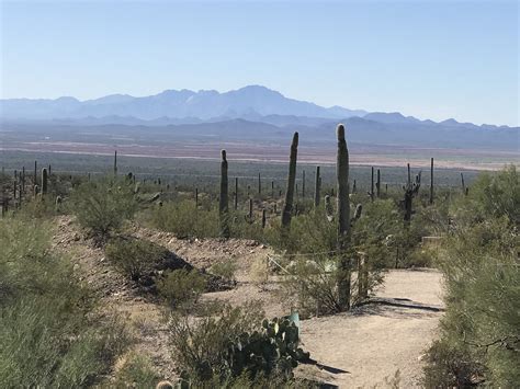 Desert Museum-Tucson Arizona | Natural landmarks, Tucson arizona, Outdoor