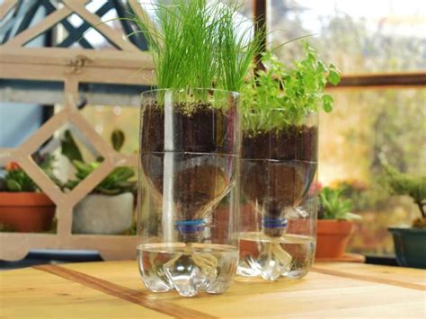 How to Make an Indoor Self-Watering Herb Garden | The Kitchen: Food Network | Food Network