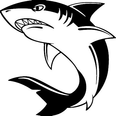 Angry shark Wall decal | Shark drawing, Shark art, Animal drawings