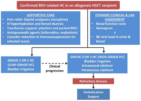 Management of BK virus-associated haemorrhagic cystitis in allogeneic ...