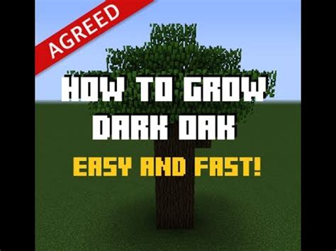 How To Find Dark Oak Wood In Minecraft - First, you need to uncover a dark oak tree in your ...