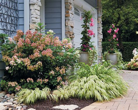 Designing with Pink Hydrangeas in the Garden | Garden Gate