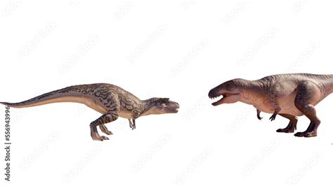 Albertosaurus PNG. Dinosaur Albertosaurus on a blank PNG high resolution background. Stock ...