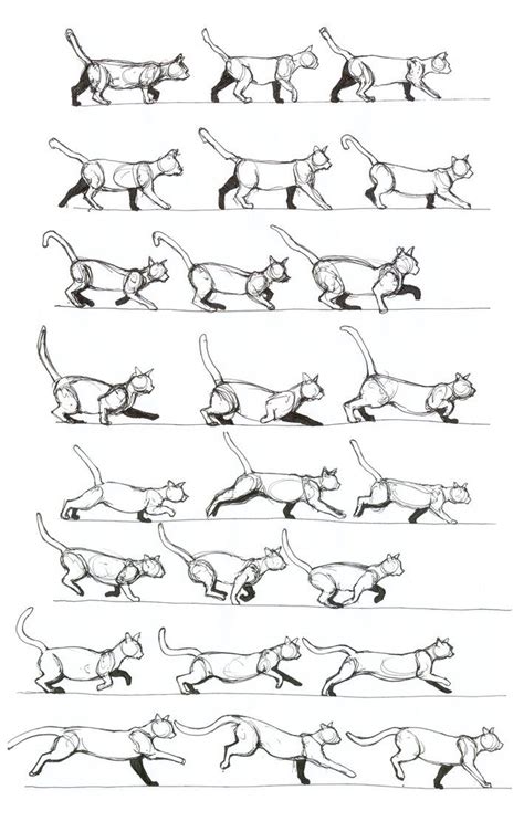 Cat walking changing to gallop by RenegadeStudios on deviantART | Animal drawings, Cat drawing ...