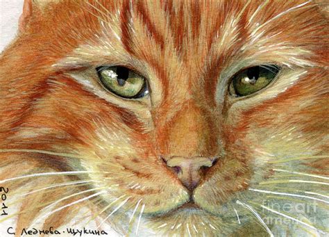 Ginger Cat Aceo by Svetlana Ledneva-Schukina | Ginger cat art, Ginger ...