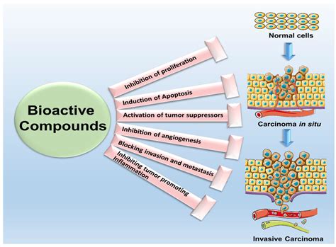 Cancers | Free Full-Text | Bioactive Compounds: Multi-Targeting Silver ...